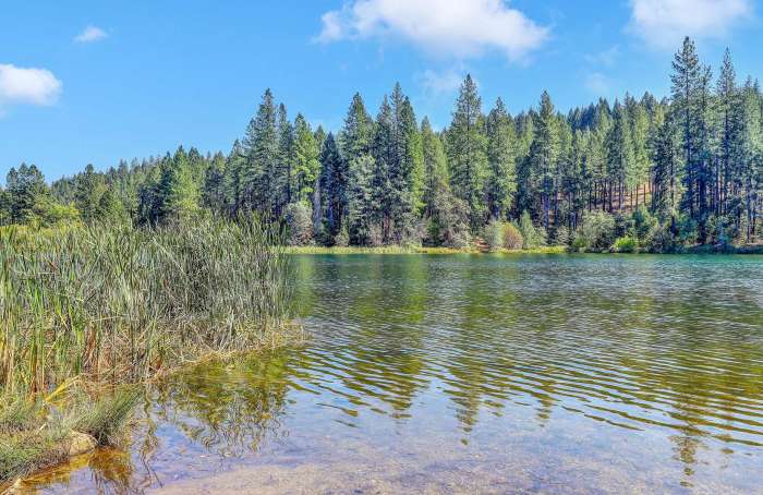 Learn more about Lake Front Real Estate Properties