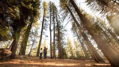 Nevada County