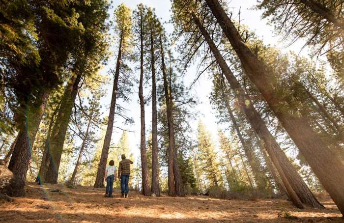 Learn more about Nevada County