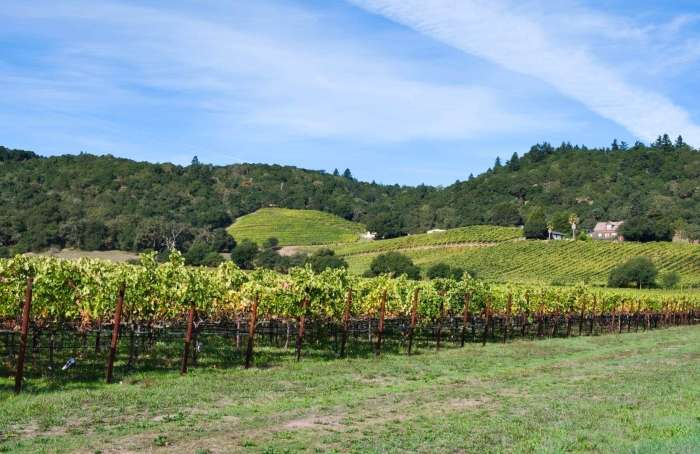 Learn more about Rough and Ready CA Real Estate