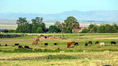 Smartsville East Yuba County CA