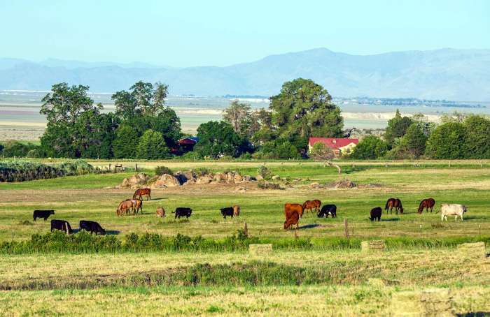 Learn more about Smartsville East Yuba County CA