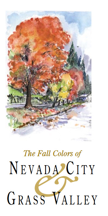 Fall-colors-NC-GV